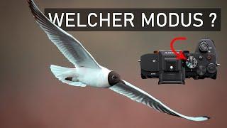 Fotografieren lernen | welcher Modus für was??? |Teil 2