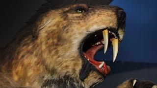 The Reason Why Saber-Toothed Tigers Went Extinct