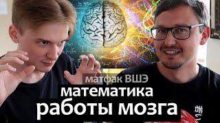 Математика работы мозга. Матфак ВШЭ