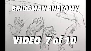 Bridgman Video 7: The Hands