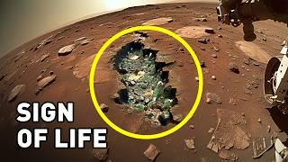 Signs Of Life Have Been Unexpectedly Found on Mars. The Big Movie About Mars