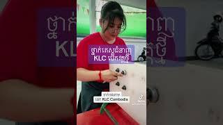 2024 KLC តេស្តជំនាញ