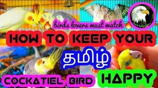 பறவையை சந்தோஷமாக்குவது எப்படி? | how to make birds happy & healthy | tamil | more about pets | MAP |