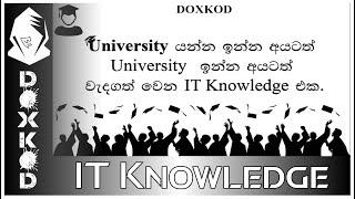 University  යන්න ඉන්න අයටත්  University  ඉන්න අයටත් වැදගත් වෙන IT Knowledge  එක දන්න සිංහලෙන්ම 