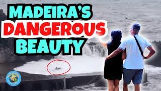Award Winning and Extremely Dangerous | BEWARE Madeira Island's Beauty