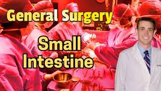 Small Intestine (updated 2024) - CRASH! Medical Review Series