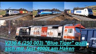 V330.6 (250 003) "Blue Tiger" quält sich mit fast 4000t am Haken