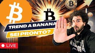 Bitcoin Esplode a $89,000! Inizia il Trend a Banana? 