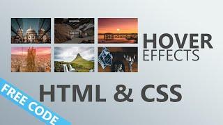 How to Create Image Gallery hover effects in HTML, CSS & Bootstrap | Gallery with hover |Source File