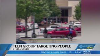 Group of teens targeting people at Steele Creek shopping center