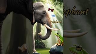 Frog vs Elephant Hybrid Version|| 🫣 #viralshort #viralshorts #trending #trendingshorts  #animals