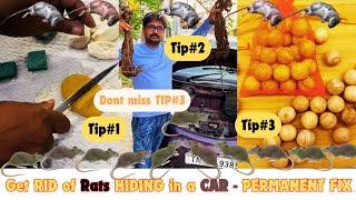 3Tips:- How to stop Rats coming inside cars in 5-Seconds|| Rats spoiling cars