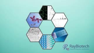 RayBiotech: Cancer Arrays