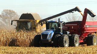 Corn Harvest 2023 | New Holland CR 7.90 Combine Harvesting Corn | Ontario, Canada