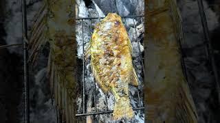 Grilled tilapia #shorts