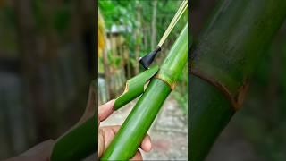 Bamboo Crafting Idea with New Slingshots #Bamboo #Slingshots #Diy #Bambooart