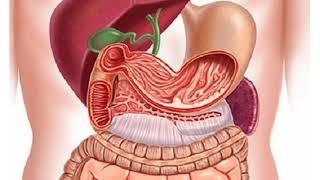 Босимлар № 26:  Ошқозон ости бези  касаллиги.