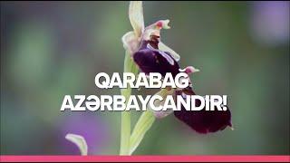 Karabakh is Azerbaijan! / Qarabağ Azərbaycandır!