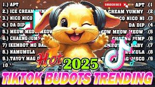 New DISCO BUDOTS VIRAL - DISCO REMIX NONSTOP 2025 NEW SONGS - BUDOTS DANCE REMIX 2024