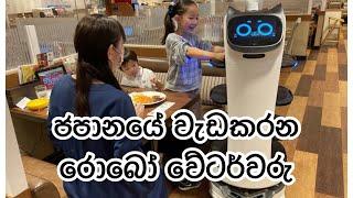 Robot Waiters in Japan- ජපානයේ වැඩ කරන රොබෝ වේටර්වරු