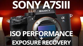 Sony a7SIII: ISO Performance and Exposure Recovery