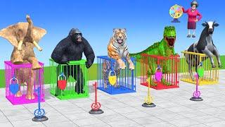 Long Slide Game With Cow Elephant Gorilla Hippopotamus Tiger - 3d Animal Game - Funny 3d Animals