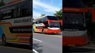 BIG BUS ROSALIA INDAH SASIS MERCEDES BENZ NGEBUT MELAJU SANGAT CEPAT #shorts #trending #subscribe