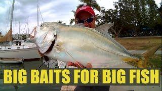 Fishing Big Baits Huge Hook Ups Catching Giant Jack Crevalle