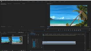 How to Resize, Reposition, or Scale Clips in Adobe Premiere Pro for Beginners