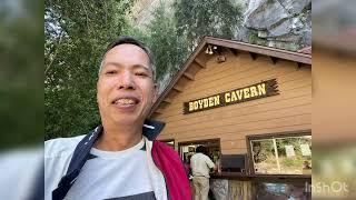 Walking among giants in the Kings Canyon National park in June 2024