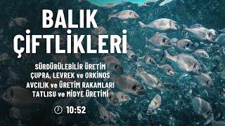 Balık Çiftlikleri - Su Ürünlerinde Yetiştiricilik Dünyası