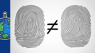 Why Are Your Fingerprints Unique?