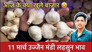 Ujjain Mandi Lahsun Ka Bhav | Garlic Price Today | Ujjain Mandi Bhav Lahsun | 11 March 2025