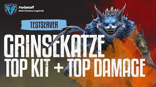 Raid: Shadow Legends - Grinsekatze - Das Design ist einfach!! - Top Damage Dealer [TestServer]