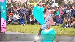 Vancouver Cherry Blossom Festival 2020