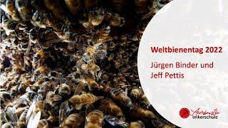 Am Weltbienentag: Gespräch mit dem Präsidenten der Apimondia, Jeff Pettis