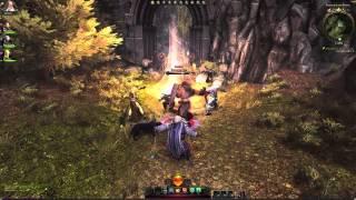 Neverwinter - Devoted Cleric montage