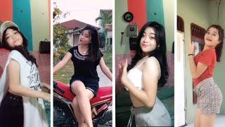 TikTok SMP Bibit Unggul