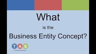 What is the Business Entity Concept?