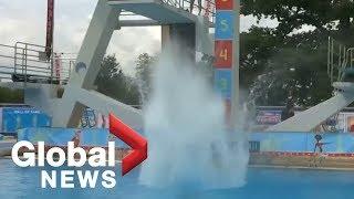 World Dive-Bomb championship makes big splash