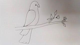 Parrot drawing / how to draw a parrot step by step / bird drawing