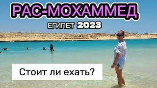 РАС-МОХАММЕД: экскурсия из Шарм-эль-Шейха. Египет отдых 2023