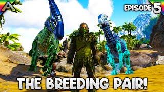 How to Tame an ARK Dino Breeding Pair! | Let's Play ARK Survival Evolved: The Island | Episode 5