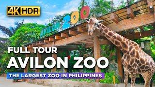 AVILON ZOO Full Tour | WHAT TO SEE Inside the Largest ZOO in the Philippines?【4K HDR】