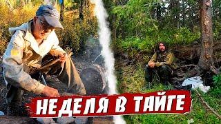 Тайга .По старым тропам воспоминаний.