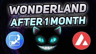 Wonderland Money after 1 Month - Honest Review