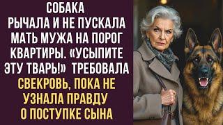 Собака рычала и не пускала мать мужа на порог квартиры. «Усыпите эту тварь!» требовала свекровь