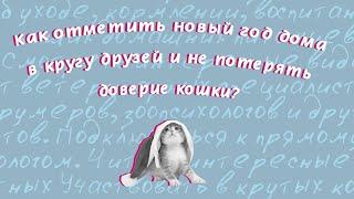 Как встретить Новый год и не потерять доверие кошки?