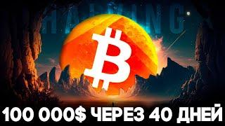 Bitcoin Halving Main Event 2024! Cryptocurrency Starts New Era! Bitcoin Forecast