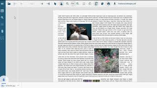 JavaScript PDF Viewer | GrapeCity Documents